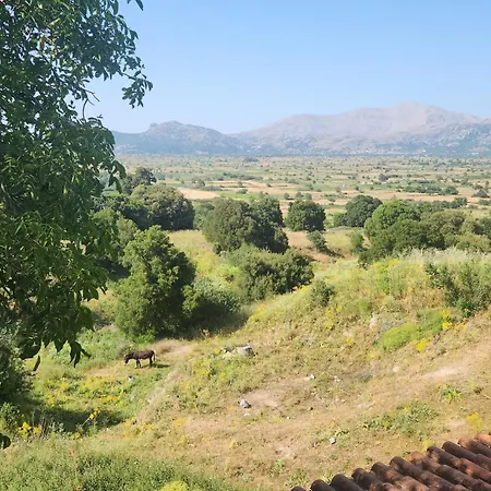 Dionysus House Lasithi Plateau