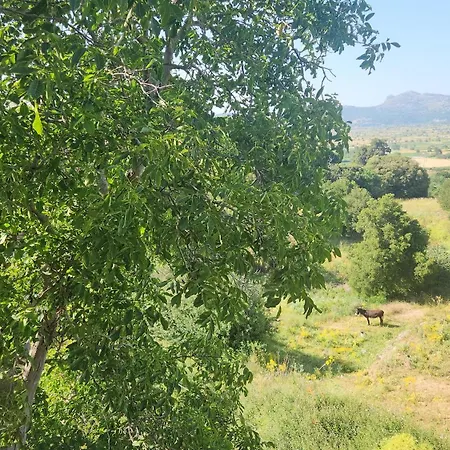 Dionysus House Lasithi Plateau Гостевой дом