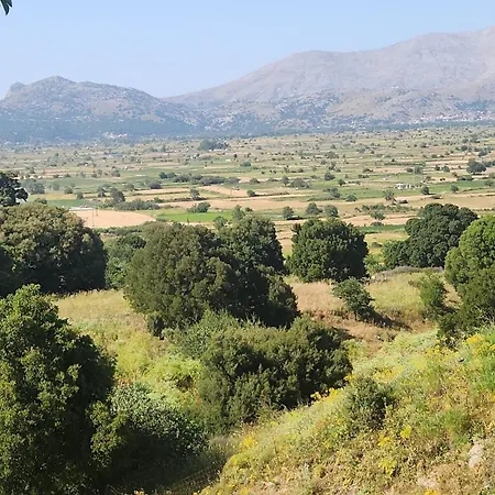 Dionysus House Lasithi Plateau