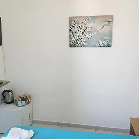 Гостевой дом Dionysus House Lasithi Plateau 2*