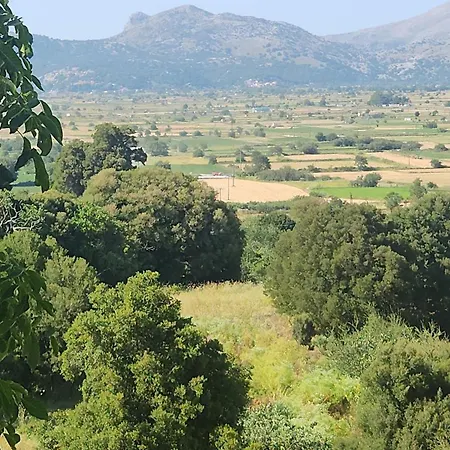 Dionysus House Lasithi Plateau Гостевой дом Magoulas
