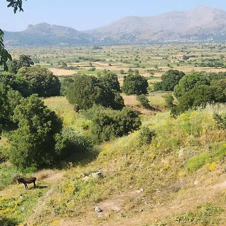 Dionysus House Lasithi Plateau Penzion 2*